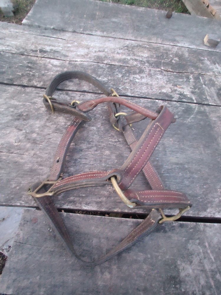 Horse Halter Copper Hardware