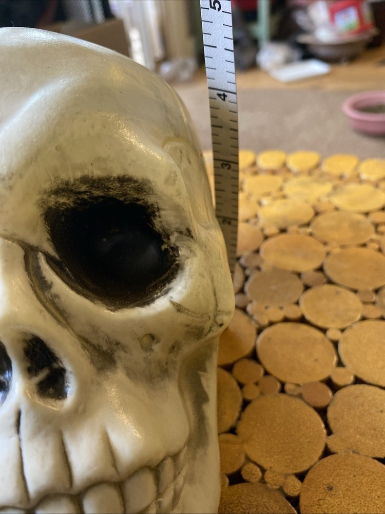 Halloween Skeleton Skull - Prop - Decor