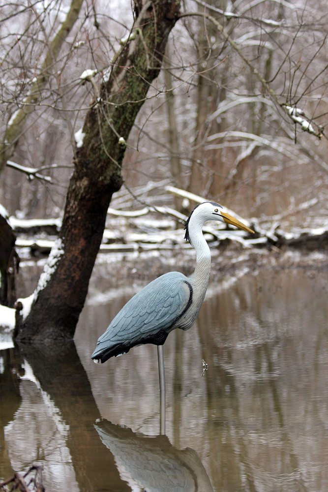 Outdoors 5960CD Great Blue Heron Decoy, Includes Metal Stake - 1-Pack