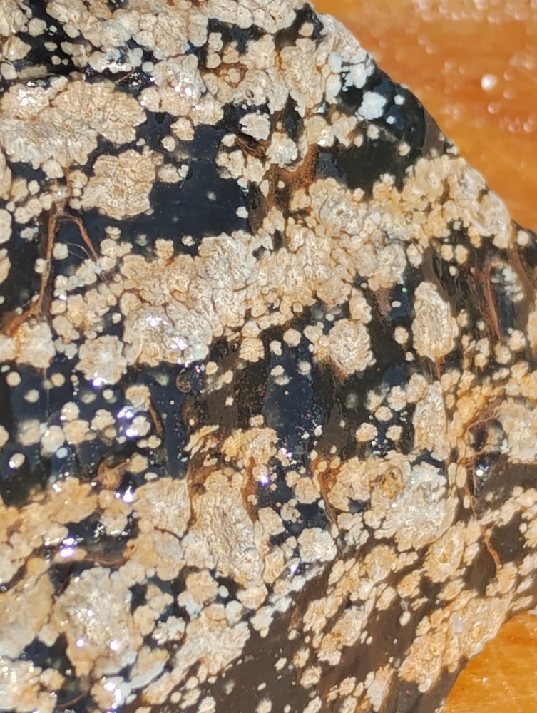 Snowflake Obsidian Rough Specimen