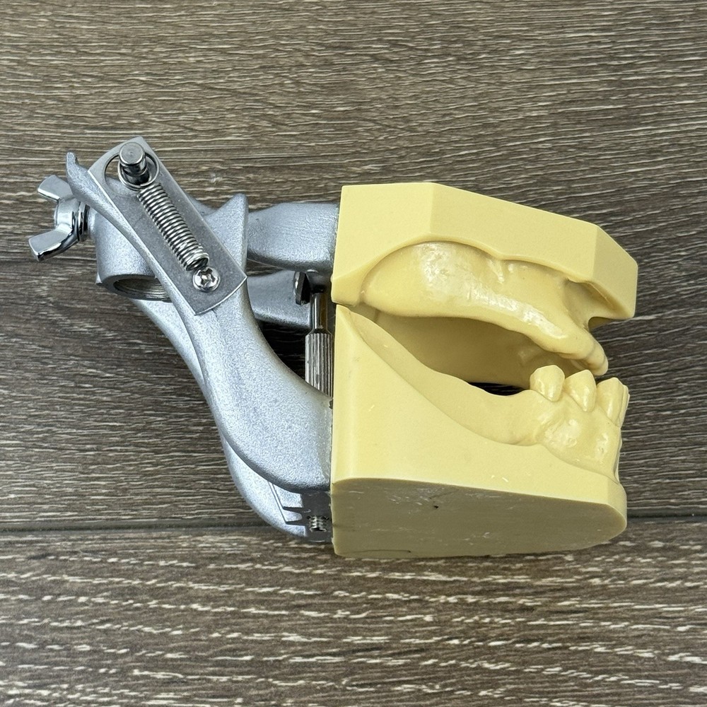 Kilgore Nissin TRM-480 Typodont Edentulous Partial Denture Model Practice