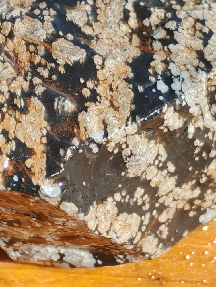 Snowflake Obsidian Rough Specimen