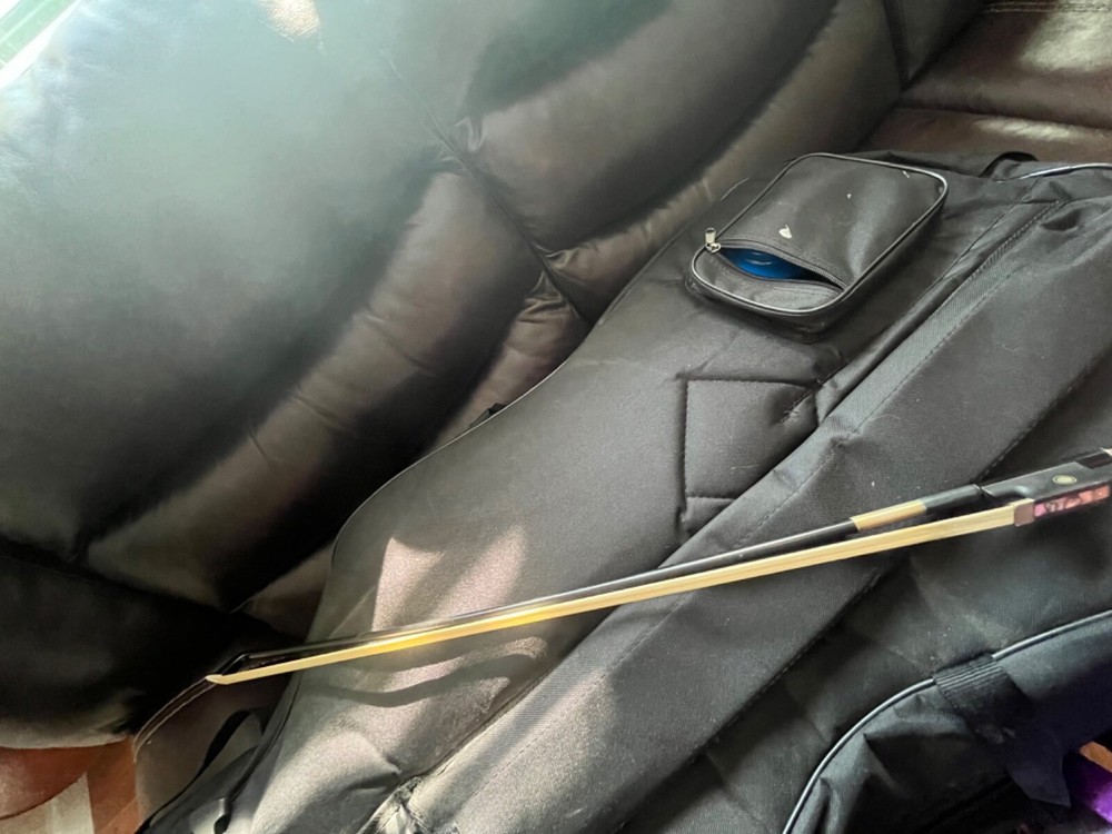 cello string instrument