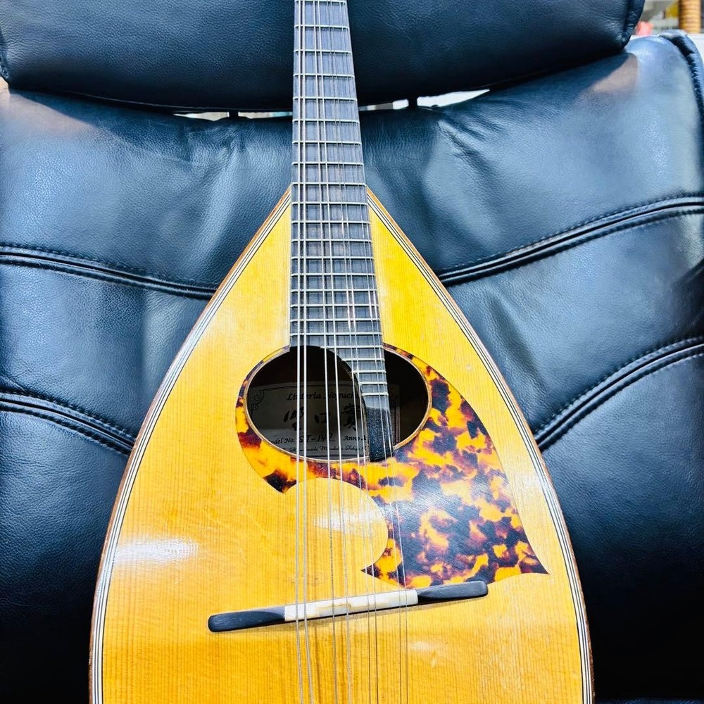 Noguchi Mandolin ST-147 Made in 2013