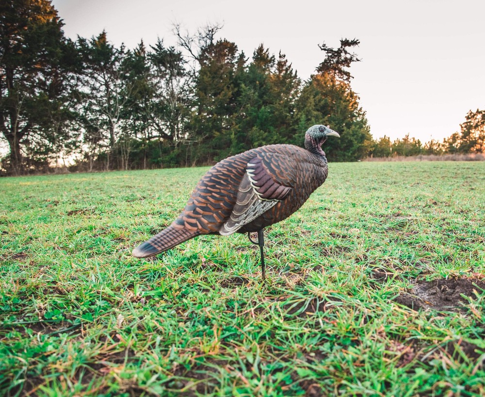 Flextone Thunder Breeder Hen Turkey Decoy