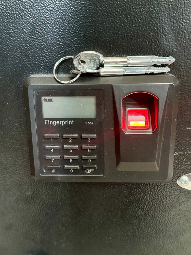 BlumSafe Wall Safe Steel Door with Code Panel, Fingerprint Reader, and 2 keys