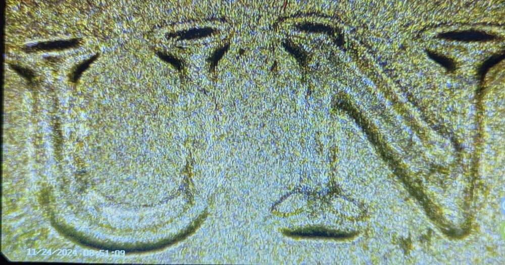 2025 D DDO DDR Mint BU Error Lincoln Cent Coin