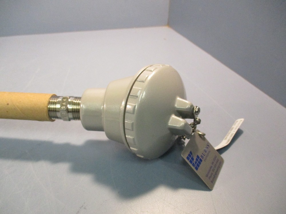 Burns Engineering Sensor, Element, RTD 200A10A2A400