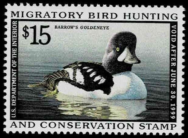 SINGLE    DUCK STAMP   RW65