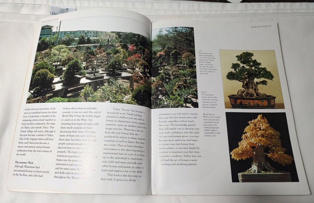 BONSAI SURVIVAL GUIDE by Colin Lewis