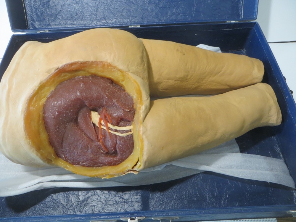 Nasco Life Form LF961 Intramuscular Injection Simulator