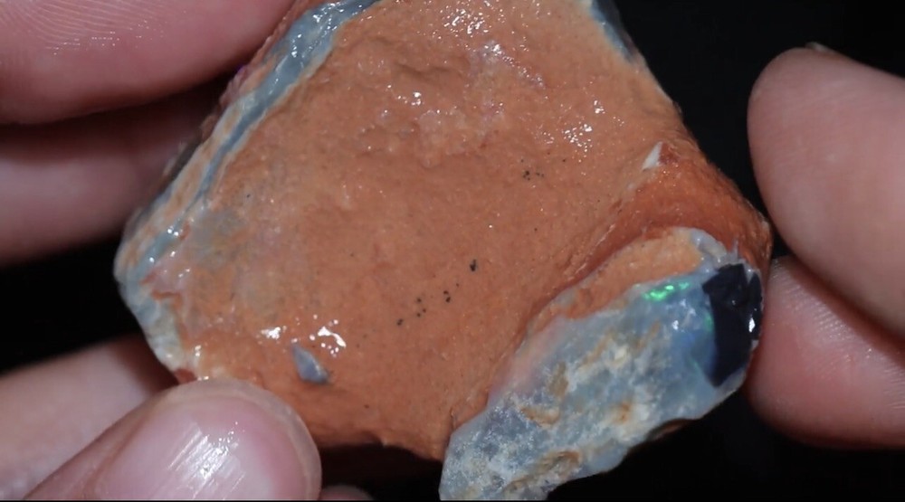 Authentic Lightning Ridge Rough Wood Opal 97 CT’s