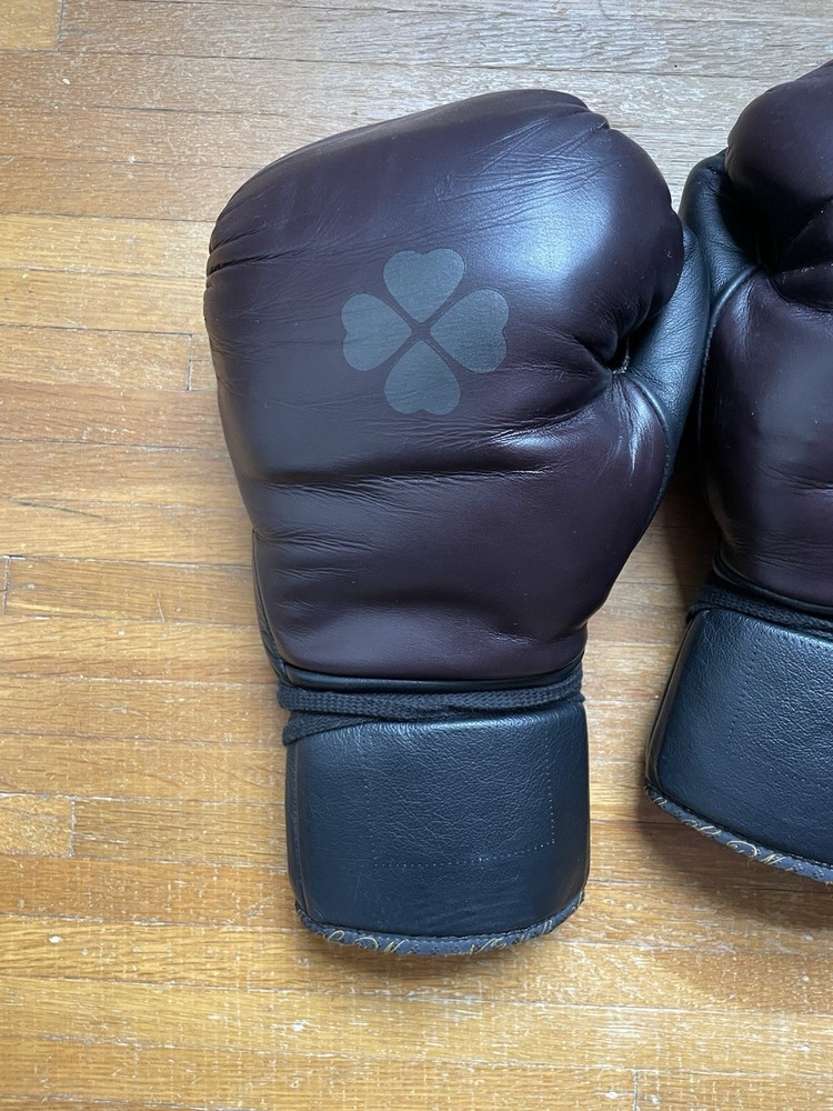 Di Nardo 16 oz Boxing Gloves