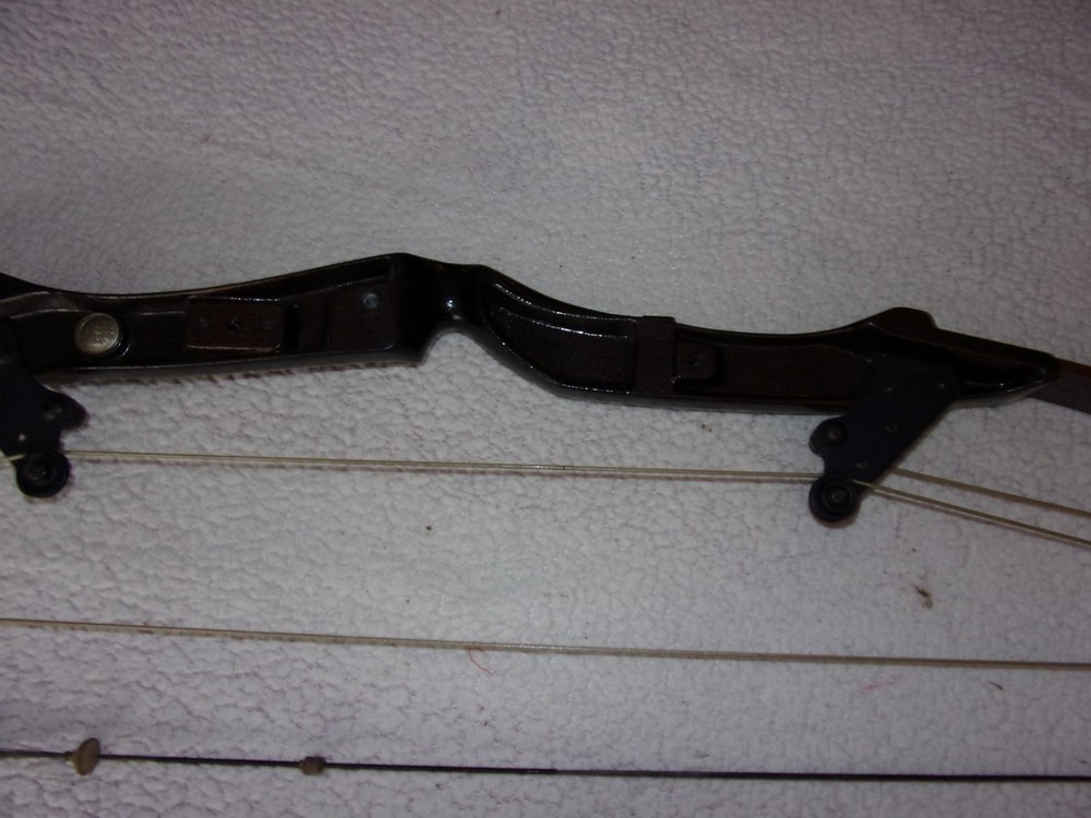 Vintage Bear Archery Whitetail Hunter Compound Bow NICE