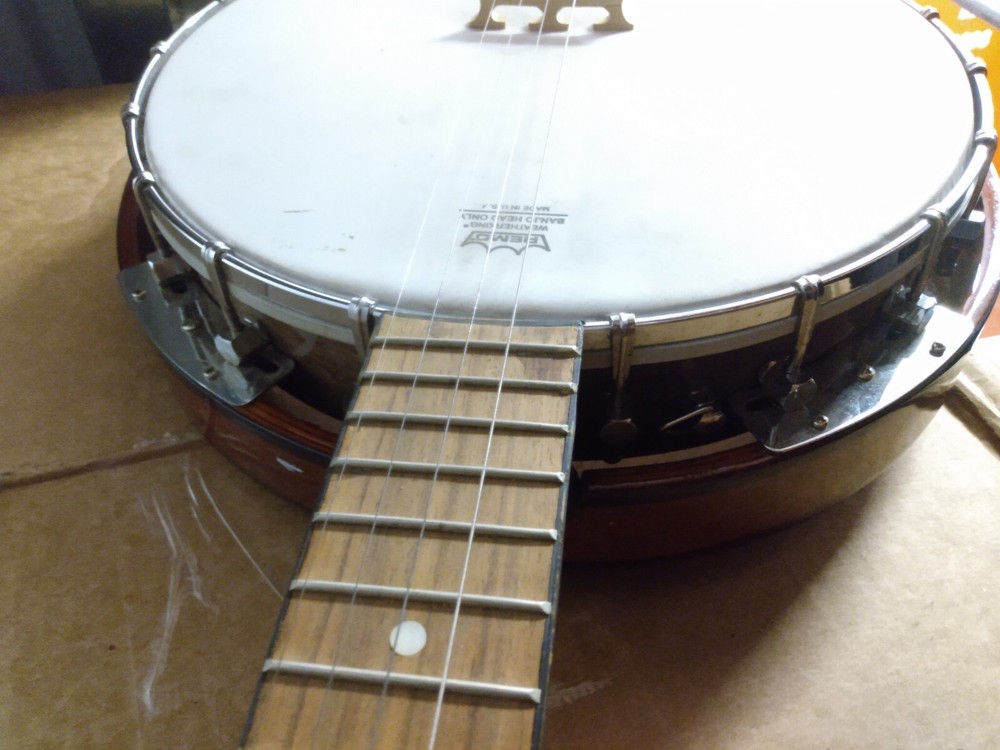 Banjo Danville Remo 5 Strings