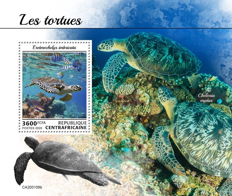 Turtles
