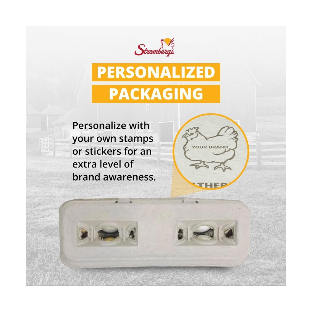 Stromberg's Large Blank Egg Cartons, Bulk Pack for Large Eggs, Perfect for Cu...