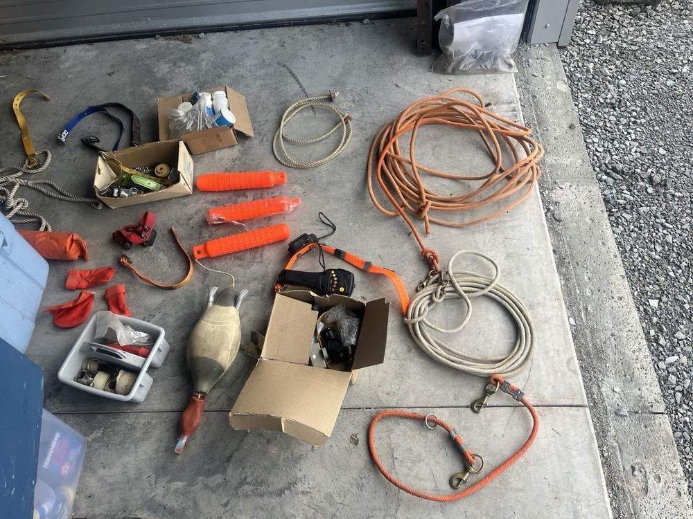 Dog training equipment, bird handling boxes