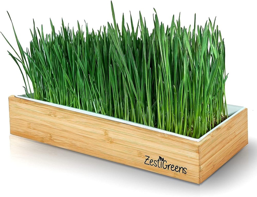 Complete Wheatgrass Growing Kit with Biodegradable Mats