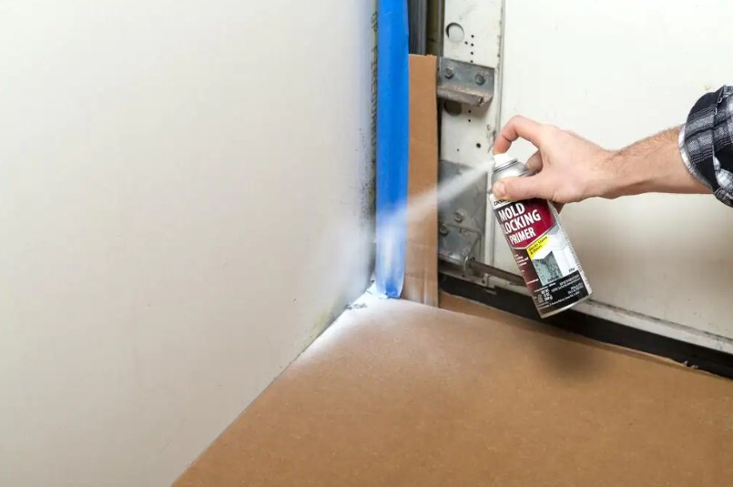 Zinsser Mold Blocking Interior/Exterior Primer, Blocks Stains & Odors - 6 Pack