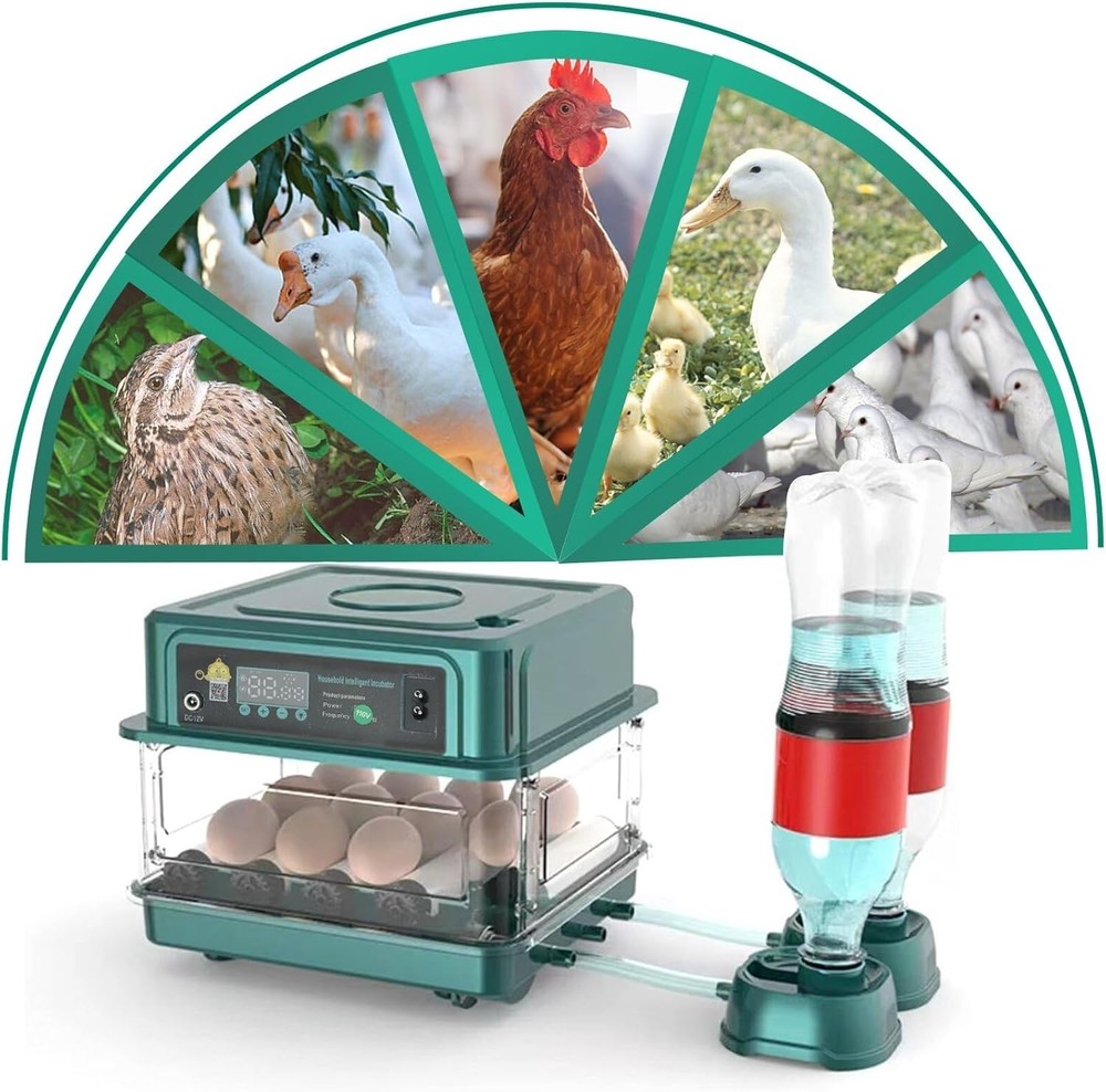 Automatic Egg Incubator 12-38 Eggs Automatic Poultry Intelligent Incubator fo...
