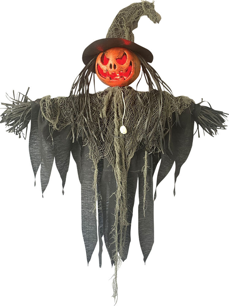 Hanging Scarecrow - Sunstar