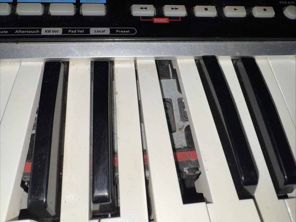 SAMSON GRAPHITE 25 (USB MIDI CONTROLLER KEYBOARD) (UNTESTED)