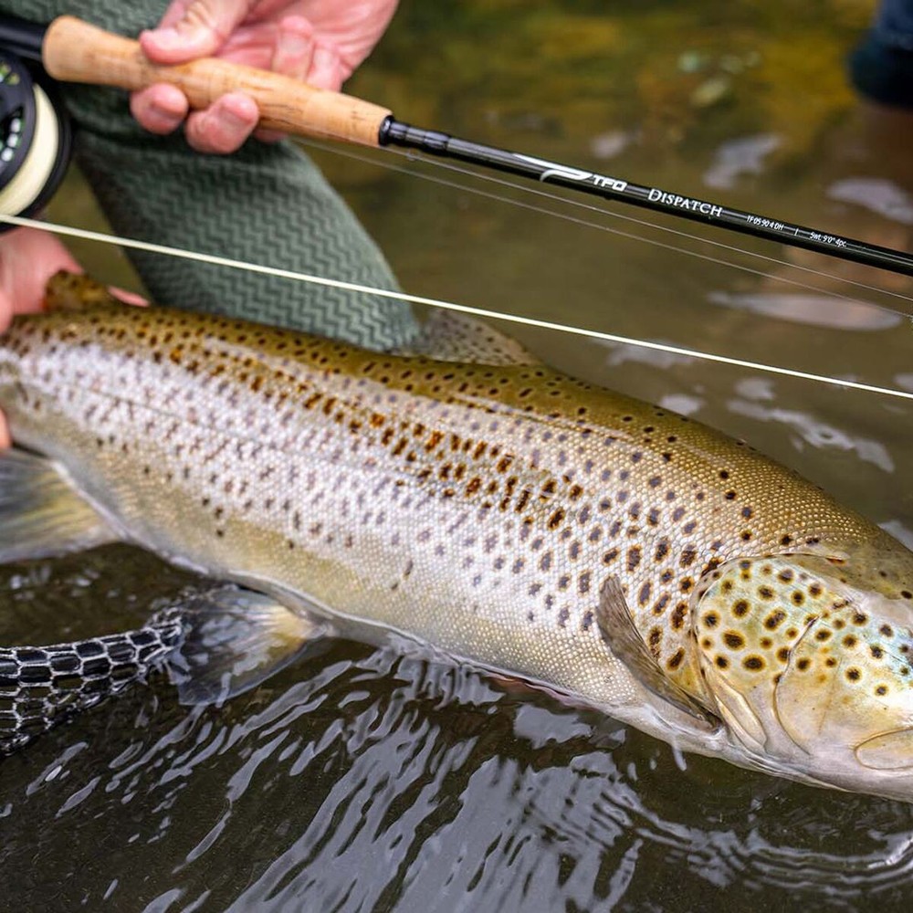 TFO Dispatch Fly Rod Kit - 4 Piece