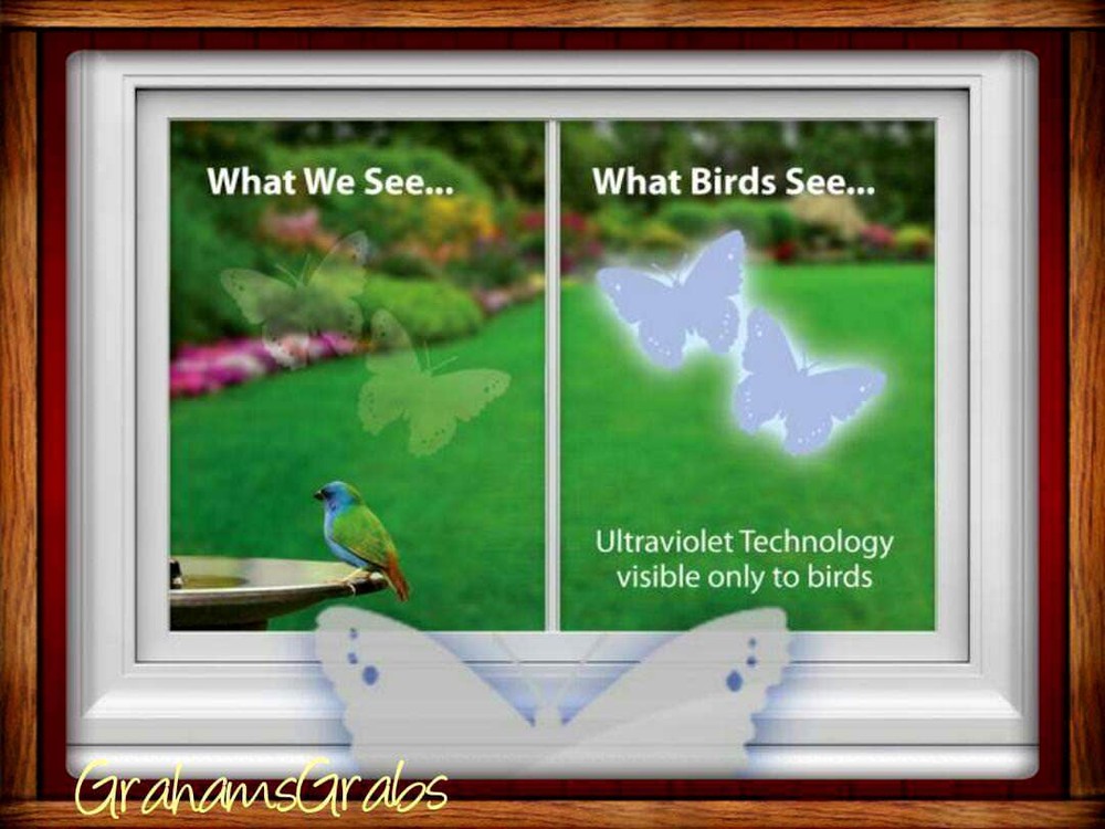 WINDOW ALERT ANTI-COLLISION CLINGS BUTTERFLY DECALS PREVENT WINDOW STRIKES