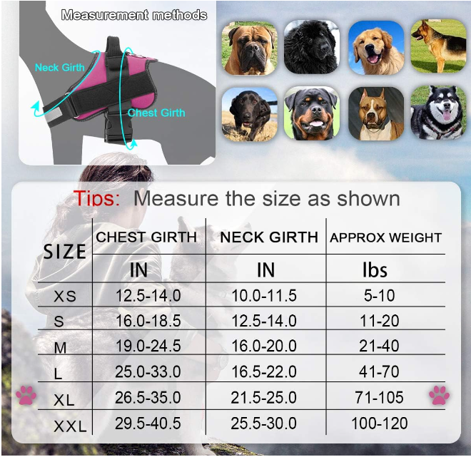 Bolux Dog Harness, No-Pull, Reflective, Breathable, Adjustable, OffWhite, XLarge