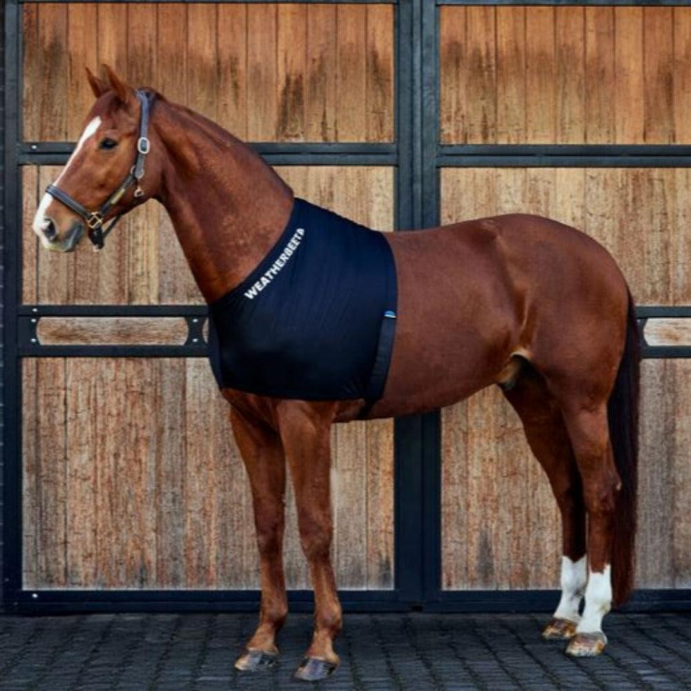 WeatherBeeta Stretch Shoulder Guard