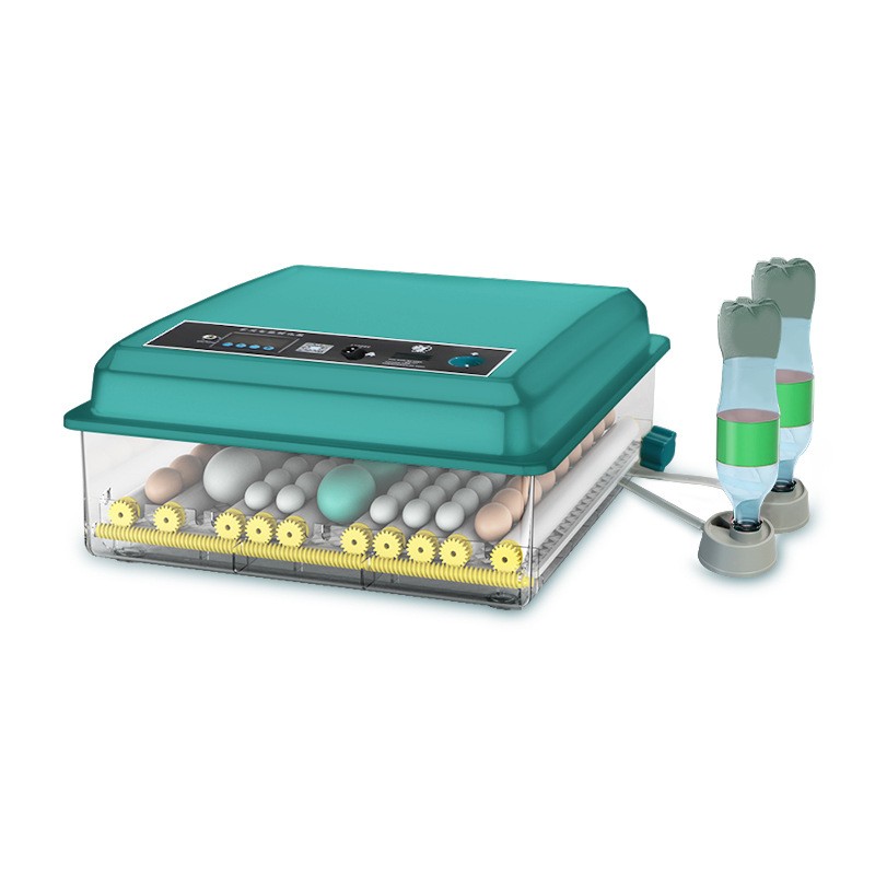 16-Egg Digital Automatic Incubator, Single Power, Ideal for Poultry Hatching