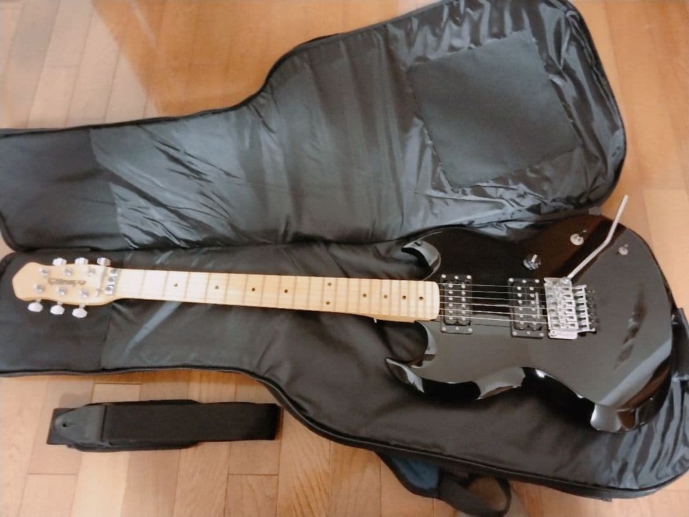 Edwards Electric Guitar Safe Packing!