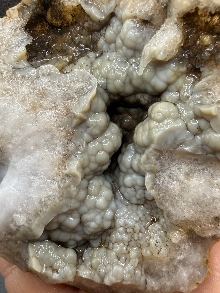 Ancient Fossilized Indiana Geode Botryoidal Agate 1,960 Carats