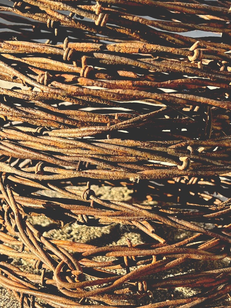 100 Feet Rusty Barbwire. Authentic Rusty Farm Barbwire. Rustic Crafting Décor.