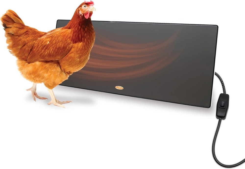 Cozy Chicken Coop Heater 200 Watts Flat Panel Design Energy Efficient Black
