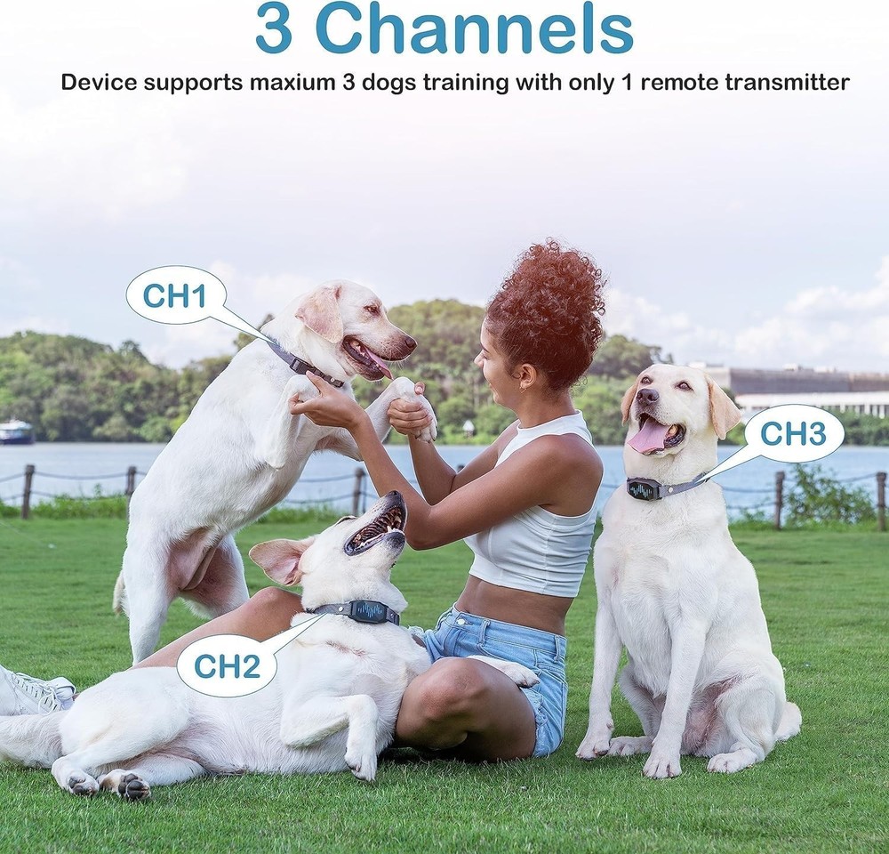 Waterproof Dog Training Collar, Remote Control, 2500FT Range, 4 Modes