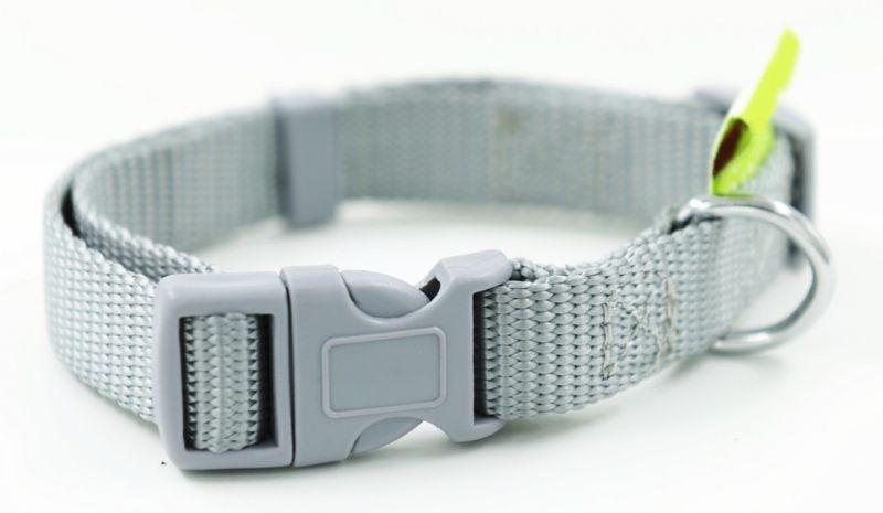 Nylon Dog Puppy Collar Bright & Basic Solid Color Pet 8 Colors 3 Sizes No Leash