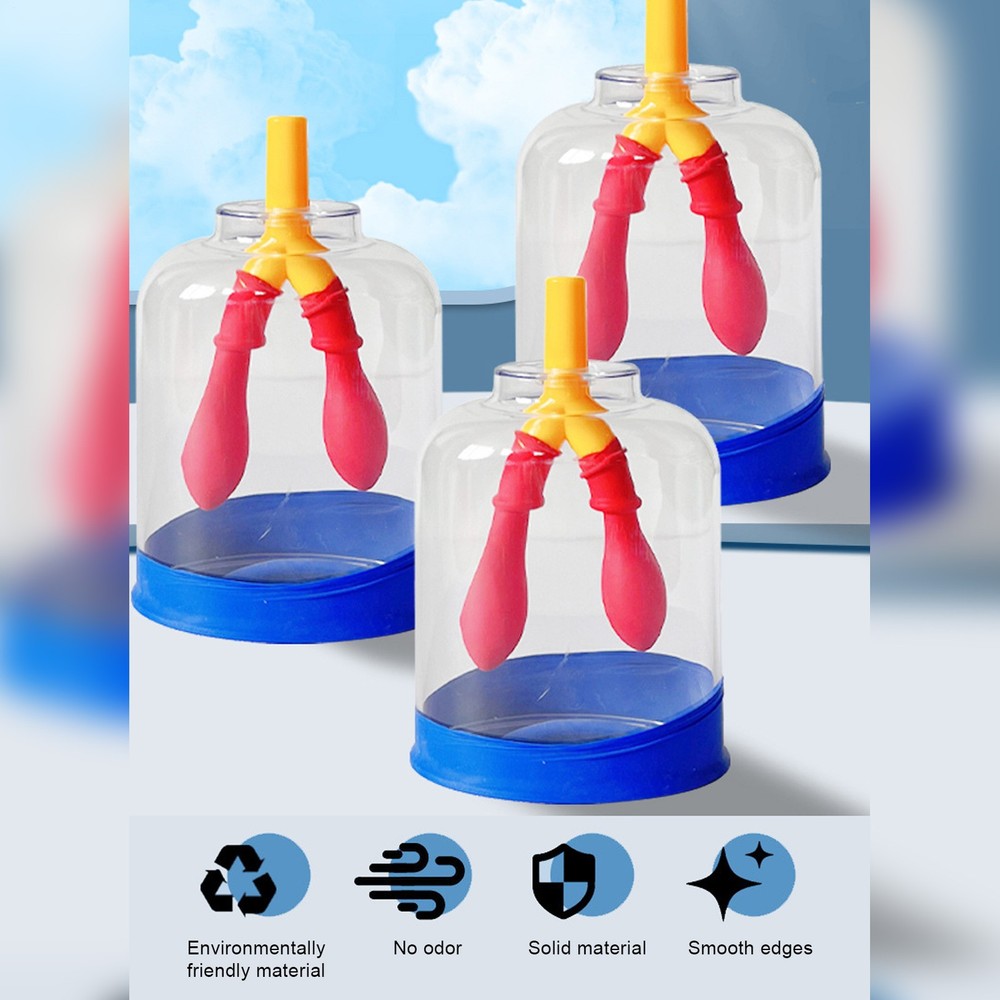 Kids Teaching Lung Demonstration Model Lung Respiration Model Experiment