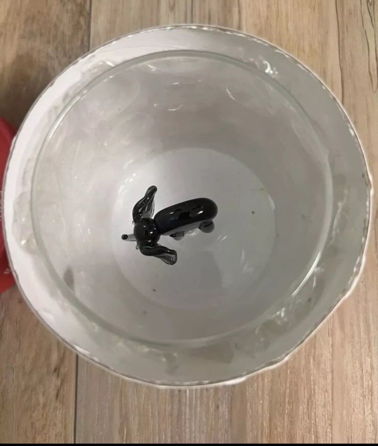 Tiny Elephant Inside Drinking Glass - Monterey Line - 8.4 fl. oz.