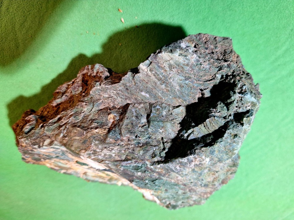Green Petrified Jasperized Rough Specimen~~Hampton Butte, Or~3 lb 2 oz~