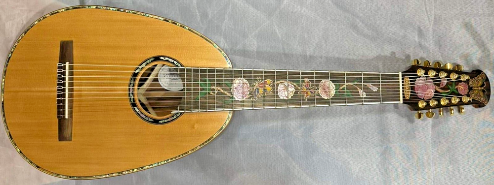 Blueberry Handmade Ten String Classical Nylon String Guitar Built to Order