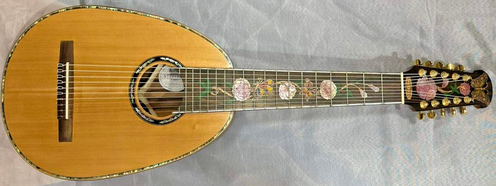 Blueberry Handmade Ten String Classical Nylon String Guitar Pre-Order 90 Days