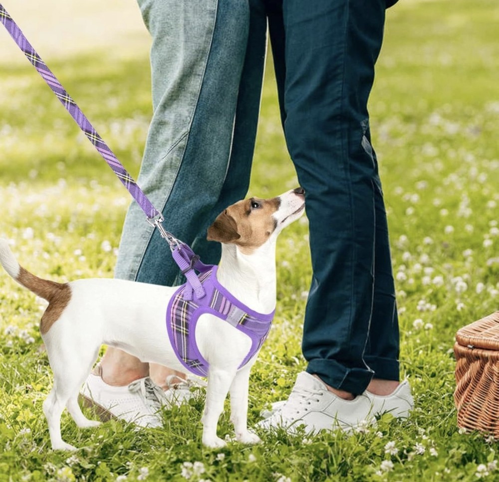 PUPTECK Adjustable Dog Medium: Chest 16"-18", Purple
