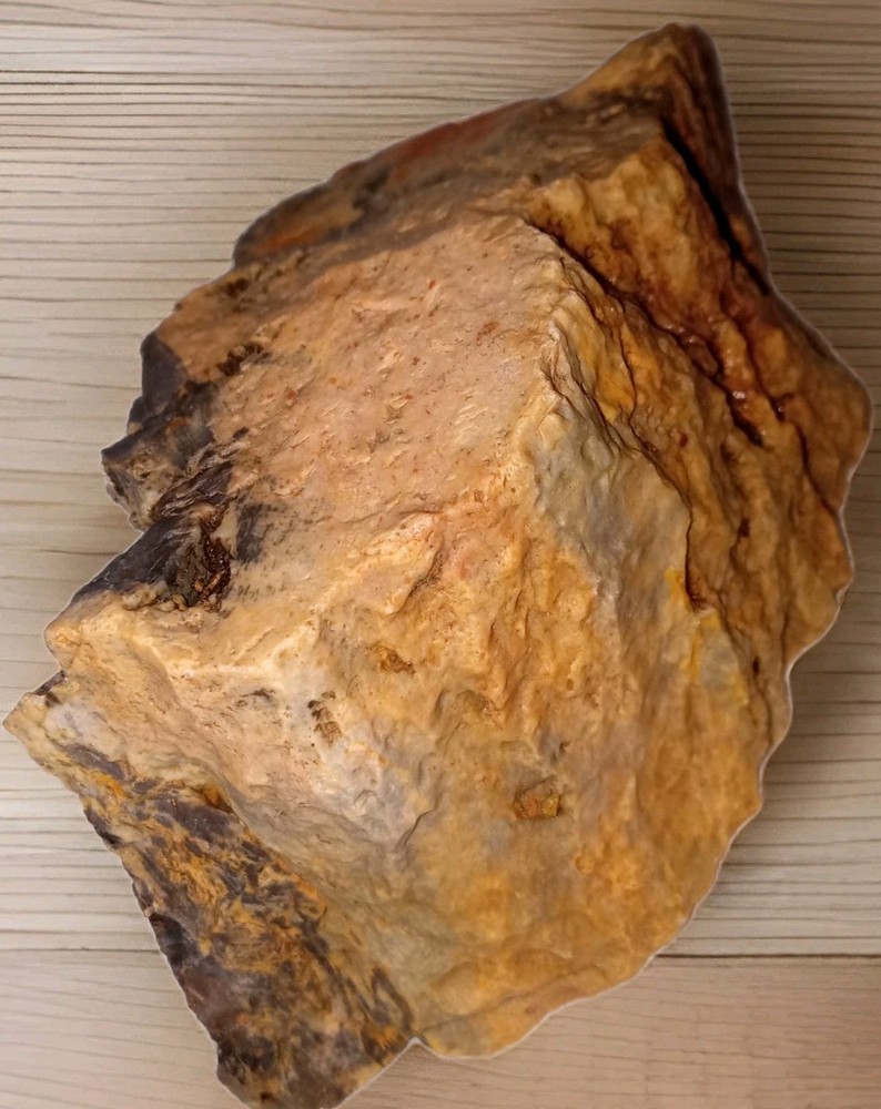 Petrified Wood Rough Specimen 7 oz