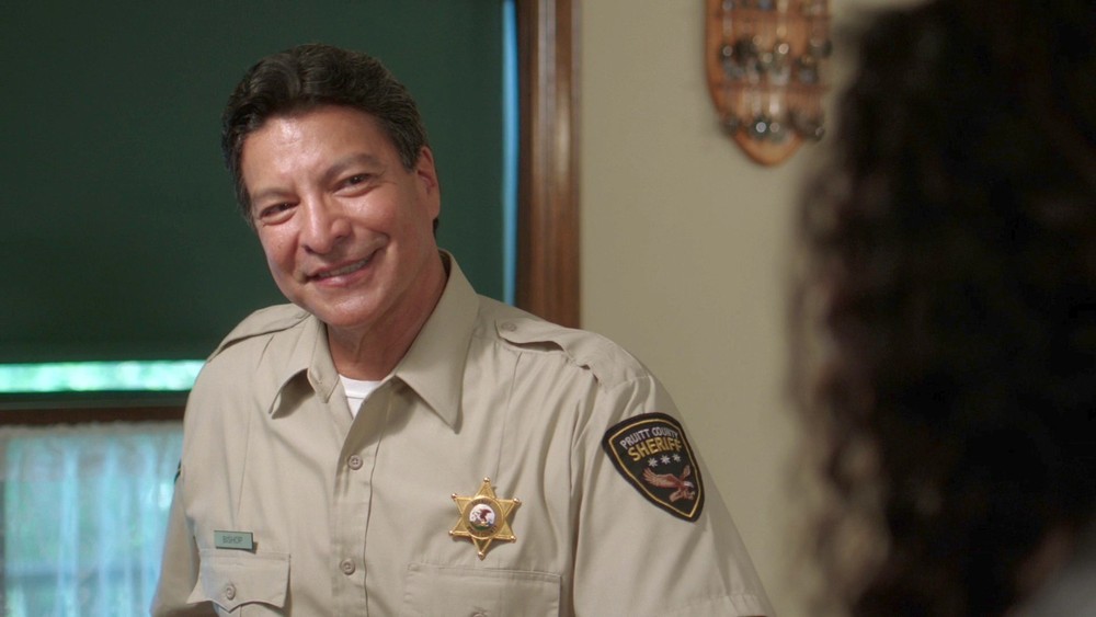 Siren - TV Props - Sheriff Badge Stickers