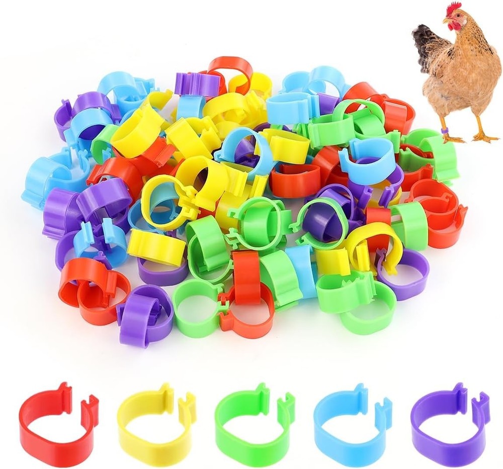 100-Pack Multi-Color Chicken Leg Bands