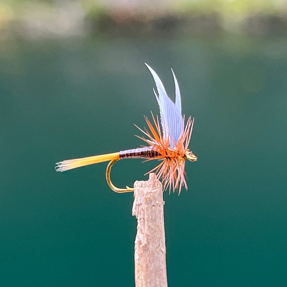 Ginger Quill | Size #14