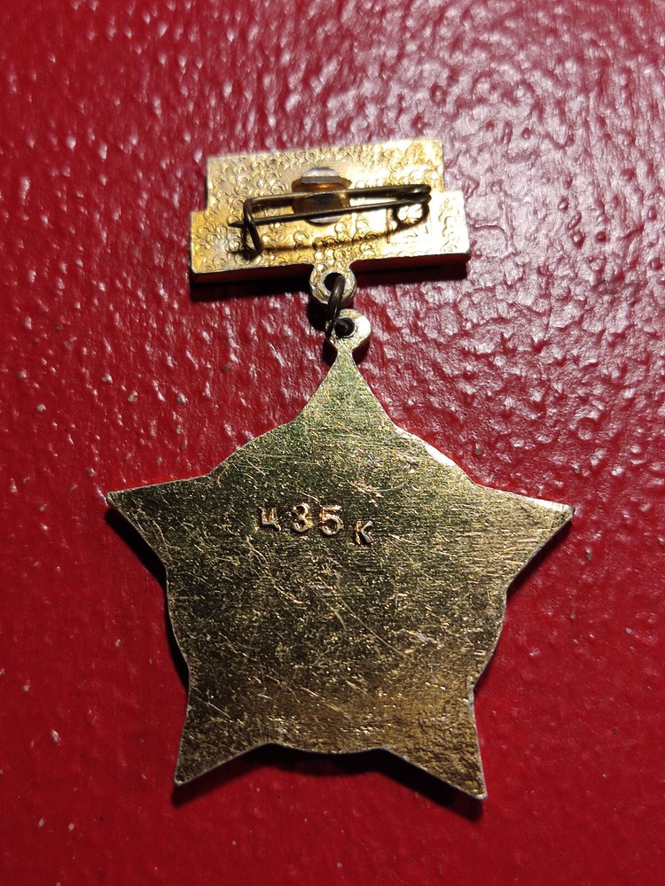 RUSSIA SOVIET USSR ORIGINAL BADGE MED (M)