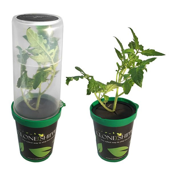 Clone Shipper Classic W/ LED Light Shipping Cuts Just Got Easy SAVE $$ BAY HYDRO